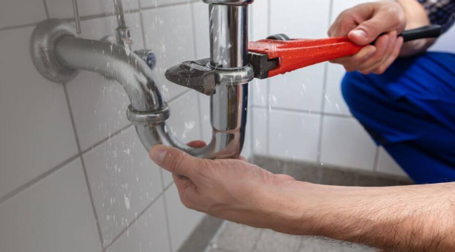 Professional Leak Detection services in Constantine, MI